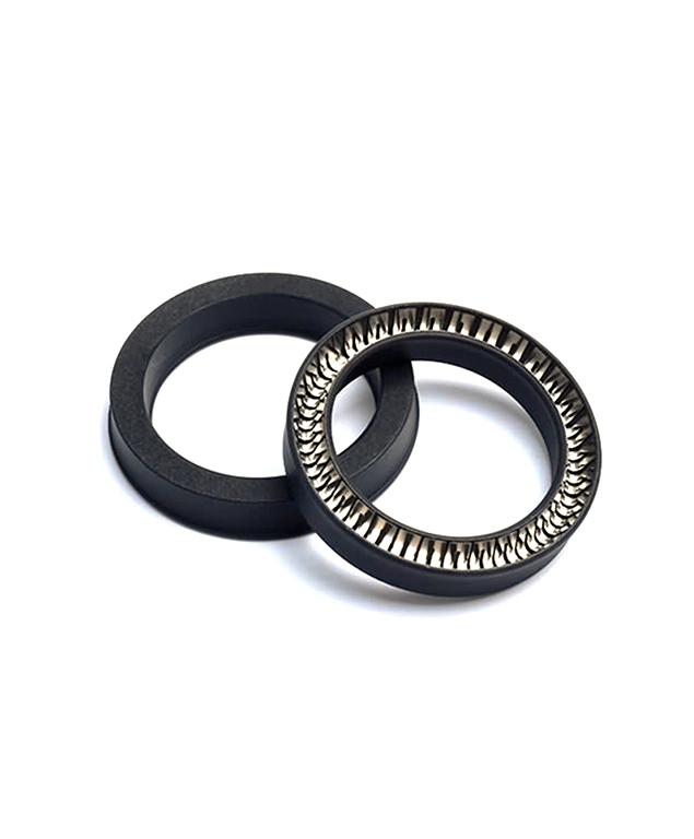 Spring Energized Seals